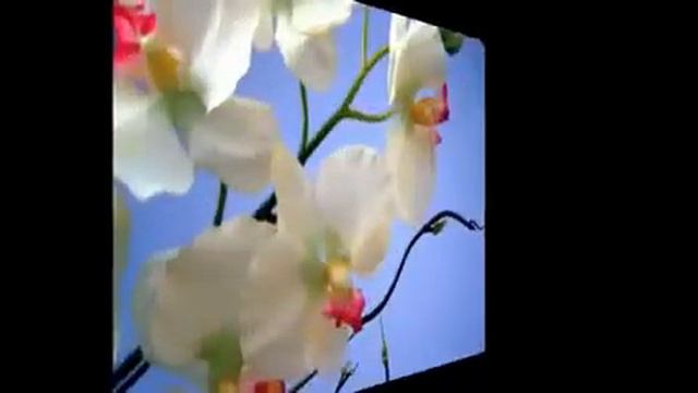 Моим виртуальным друзьям! смотреть онлайн