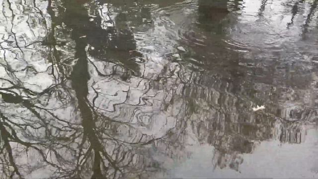 ВЛОГ/ ИТАЛЬЯНЦЫ В ПАНИКЕ СКУПАЮТ МУКУ,МАКАРОНЫ,КРУПЫ,КОНСЕРВЫ :( смотреть онлайн