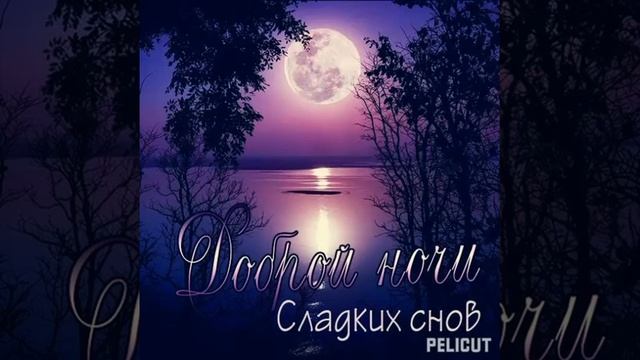 ?Спокойной ночи! #позитив #открытка #хорошеенастроение #вечер #спокойнойночи ??