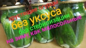 БЕЗ УКСУСА/БЕЗ СТЕРИЛИЗАЦИИ/ХРУСТЯЩИЕ Огурцы на зиму, как малосольные/Солёные огурцы