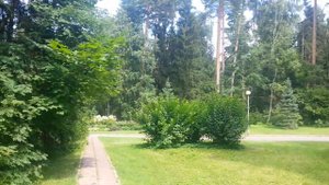 Территория пансионата Лесные Дали.