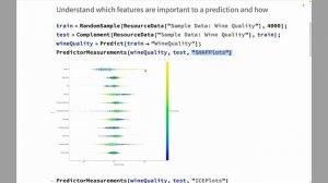 Explainability: SHAP & ICE Plots