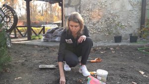 КАК И КОГДА САЖАТЬ ТЮЛЬПАНЫ ОСЕНЬЮ. ИТОГ ПОТРЯСАЮЩЕЕ ЦВЕТЕНИЕ.