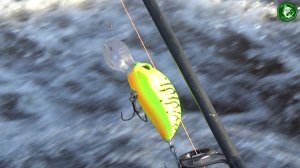 ЭТА НЕПРИЯТНОСТЬ НЕ ПОМЕШАЛА НАДУБАСИТЬ РЫБЫ! РЫБАЛКА НА РЕКЕ ТАВДА, ОКТЯБРЬ, СПИННИНГ, ДОНКИ, ФИДЕР