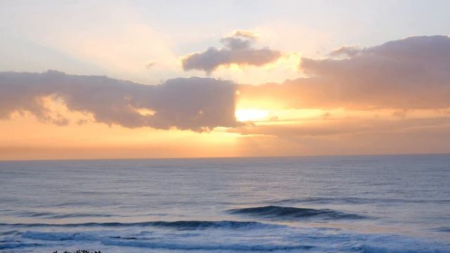 DJ TideWave "Home" Trip-Hop/beats/LoFi - Roland Juno DS-61, Akai EWI Solo & Behringer Crave смотреть онлайн