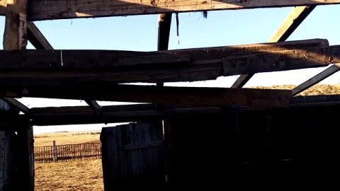 Жизнь в деревне /Орловка /Разбираем сеновал.