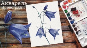 Как рисовать цветы акварелью. Быстрое видео.