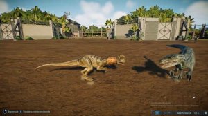 велоцираптор vs маленьких хищных динозавров(Jurassic World Evolution 2)