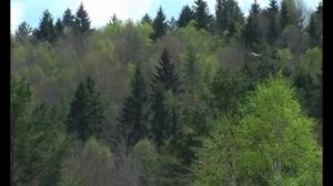 Продажа участков под крестьянское (фермерское) хозяйство, с. Ульяново