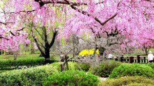 3 часа Лучшего релакса-Романтическое пианино-Спа-Терапия-Любовь