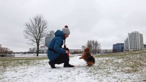 Первые шаги во ФРИЗБИ | Как научить собаку ловить диск