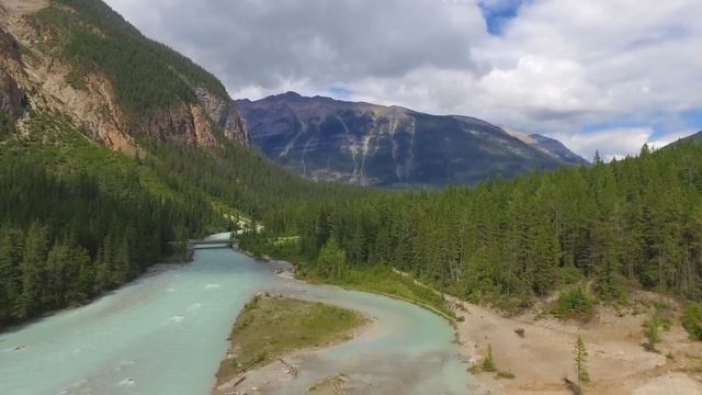 Дикий зверь пошел против природы, когда увидел в лесу одинокую 3х-летнюю девочку. То, что сделала.. смотреть онлайн