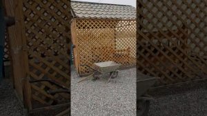 Абдурахмони Чоми (Куйбышев) Платная рыбалка!  Всего за 30 сомони за вход!