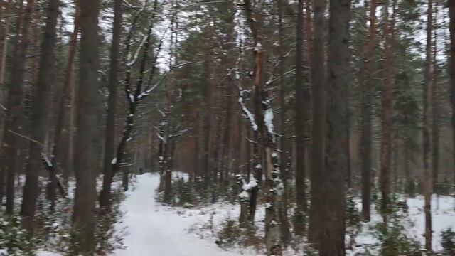 Солотчинский парк и тропа Паустовского (прогулка по Рязани и окрестностям)