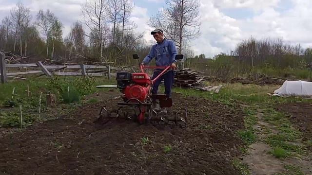 сажаем картошку, открываем дачный сезон #помощь #жизнь #доступнаясреда #любовь