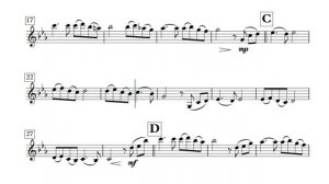 Song From a Secret Garden - Violin (Sheet Music)