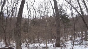 24 03 2019 Владивосток Сахарный ключ-Шаморовский перевал- ботанический сад