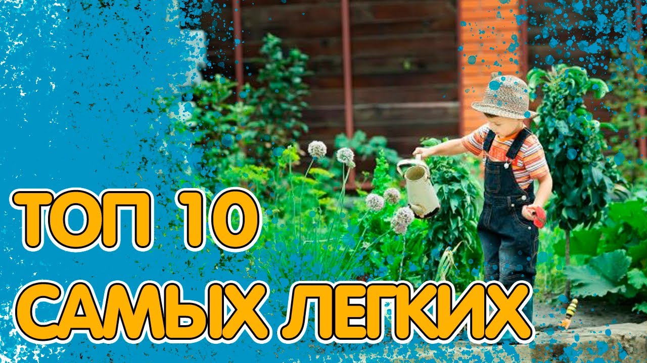 ТОП 10 САМЫХ ЛЁГКИХ В ВЫРАЩИВАНИИ ОВОЩЕЙ. СПРАВИТСЯ ДАЖЕ РЕБЁНОК!