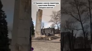 Снос памятника советским воинам в Украине. «С Богом» говорит один из зевак