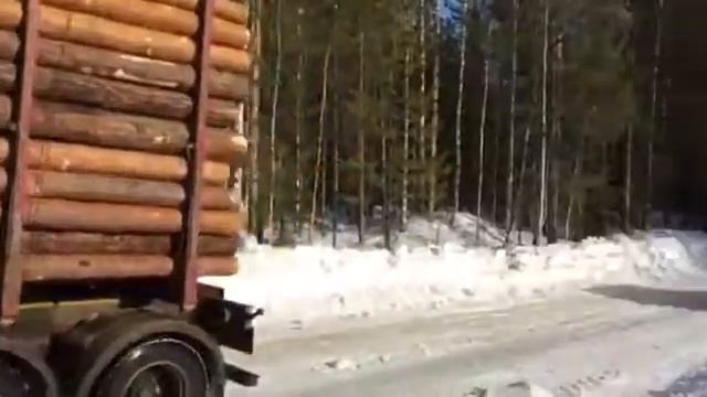 Вывозка сортиментовозами.