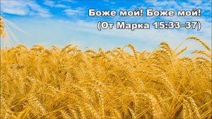 22.08.2014 Последние часы (От Марка 15:33-41)