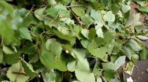 РУБИН-140 и ГРАНИТ