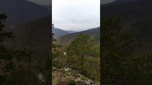 Осенний лес,оооооочень красиво??