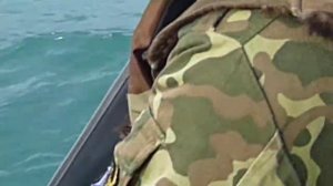 Игра дельфинов, маяк Сеть-наволок