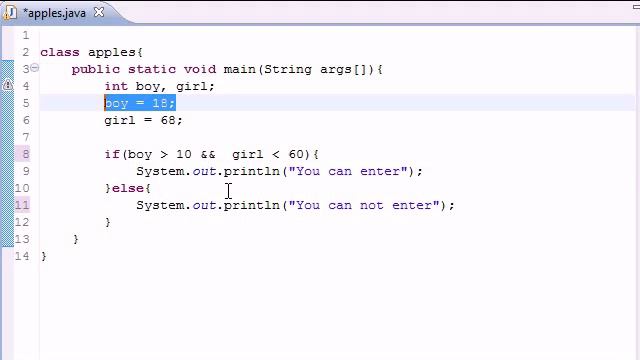 Java Programming Logical Operators