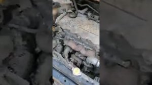Nissan Almera Tino 2.2 DID