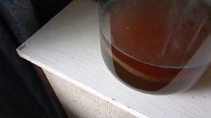 Чайный гриб из заморозки 2 часть.?