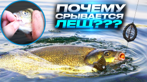 КАК ПОЙМАТЬ ЛЕЩА #fishing , #рыбалка, #bushcraft.