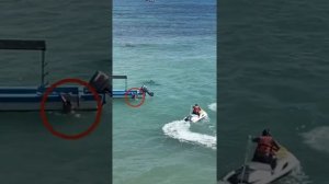 Как акула человека чуть не съела.