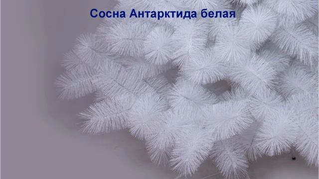 Искусственные ёлки оптом "Сосна Антарктида белая" смотреть онлайн