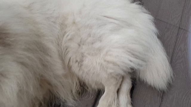 Кто когда родился?