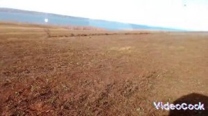 Трактор Т-40, сенокос