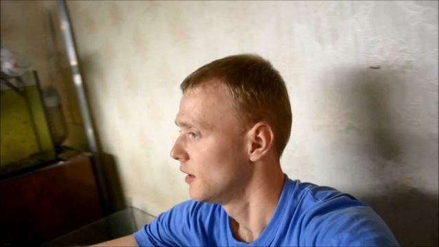 Пополнение на рыборазводне!  Разведение таракатумов часть 1
