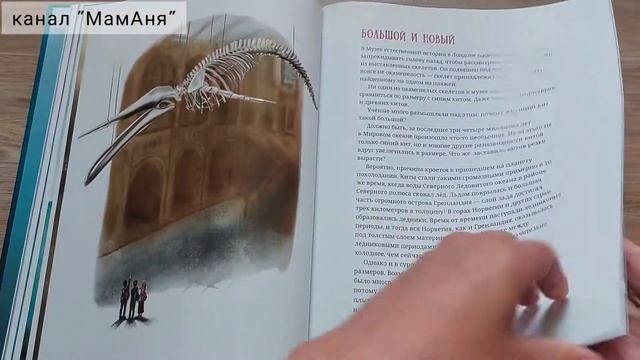 Животные-невидимки. Чудеса маркировки в дикой природе/ Синий кит. Невероятная история... смотреть онлайн