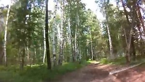 Дорога к озеру Данилово.avi