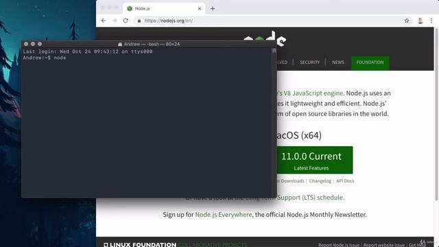 2. Installing Node.js and Visual Studio Code смотреть онлайн