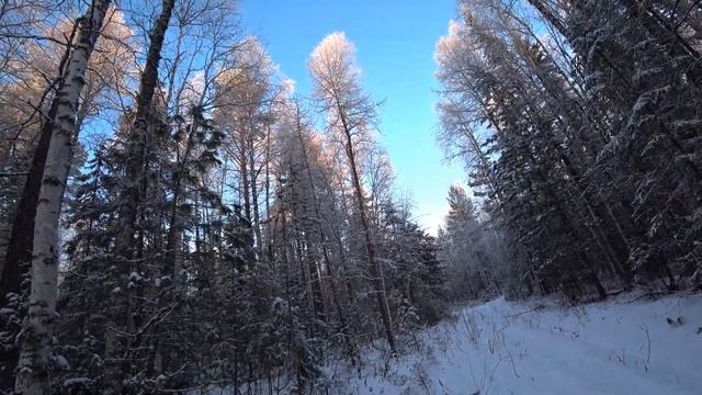 охота с карелкой,видели глухаря,гриннписс рулит смотреть онлайн