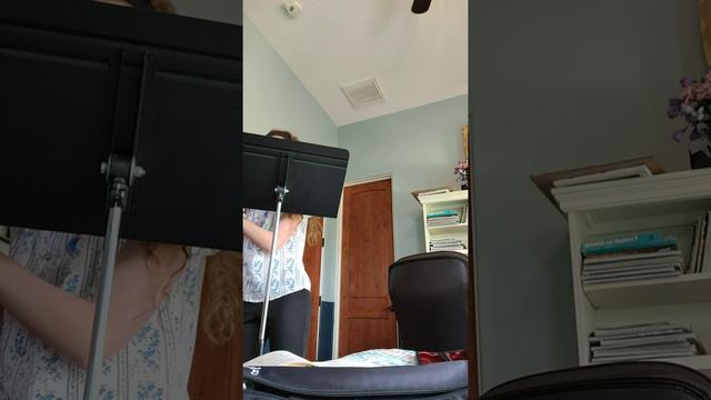 Senorita flute cover смотреть онлайн