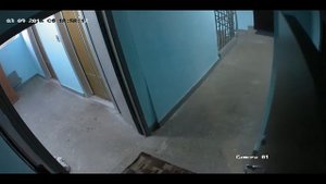 Бюджетная камера наблюдения Hiwatch DS-T203, установлена перед дверью в квартире