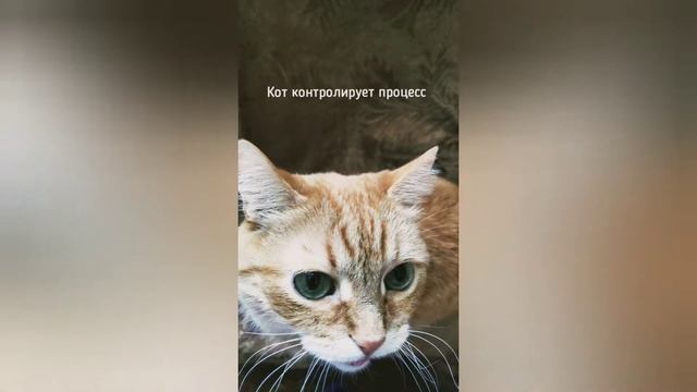 Провожаю масленицу смотреть онлайн