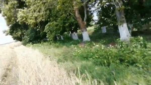 Мотоцикл тула по бездорожью.