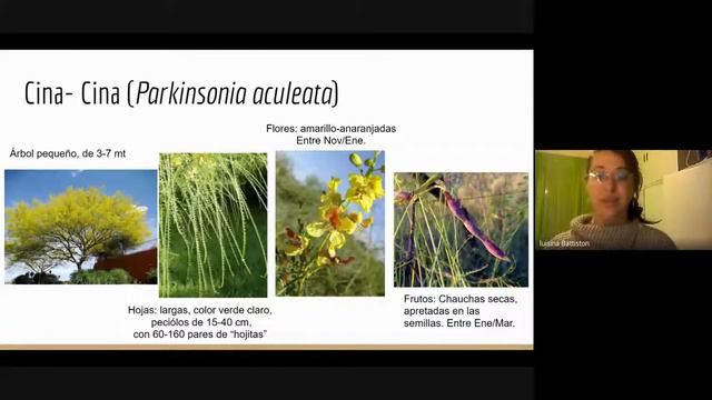 Charla filosófica | El Árbol: simbolismo universal e identificación de especies nativas смотреть онлайн