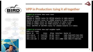 BGP/OSPF with 100Mpps on amd64: VPP + Linux Control Plane