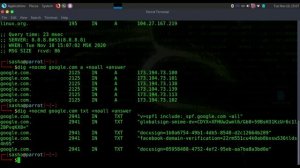 Dig (Domain Information Groper) инструмент командной строки Linux для запроса DNS-серверов имен.