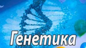 История развития генетики. Основные понятия генетики.