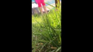 Что такое счастье? СЧАСТЬЕ это дети!!!